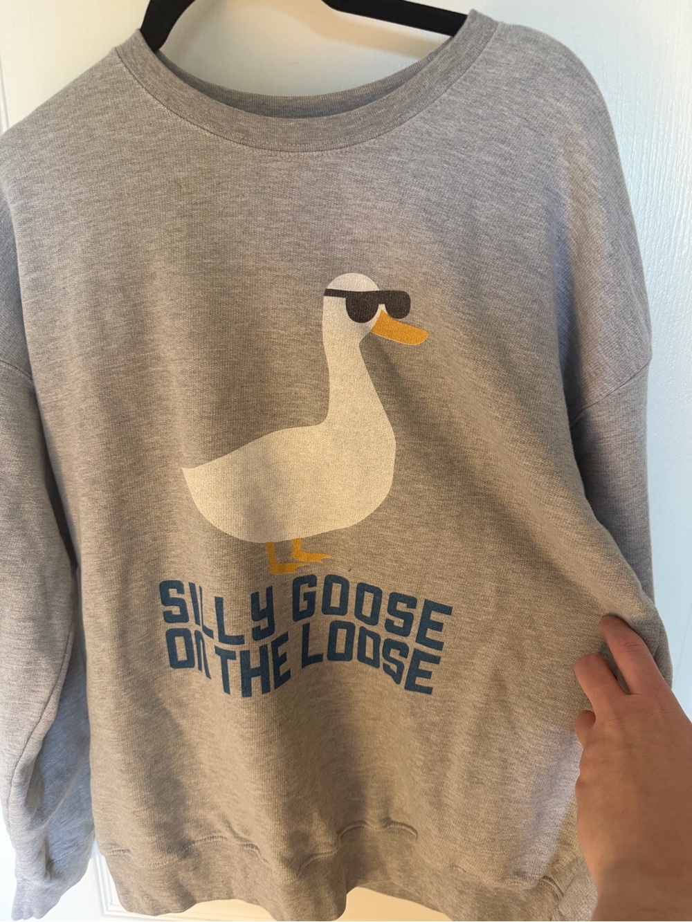 Silly Goose Graphic Sweatshirt - Middleclass Fancy - Light Gray - Size L